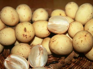 Duku, si Kuning Langsat Cegah Kanker Kolon