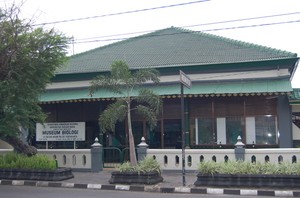Jalan-jalan Pintar di Museum Biologi, Yogyakarta