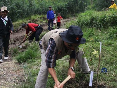 Alumni dan Mahasiswa UGM Hijaukan Merapi