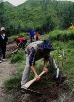 Alumni dan Mahasiswa UGM Hijaukan Merapi