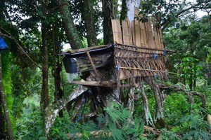 Wow! Banyak Lukisan Tangan di Gua Leang-leang, Sulsel