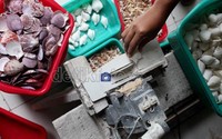 Kumpulan kulit kerang diproses untuk membuat ondel-ondel maupun bentuk lain. Khusus untuk Ondel-ondel, Cici pernah memenangi lomba desain kerajinan tingkat nasional.