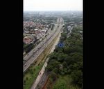 Jakarta Butuh Ruang Hijau Lebih Luas Lagi