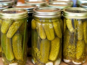 230.000 Kg Makanan di Polandia Tercemar!