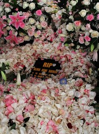 Selamat jalan Olivia, istirahatlah dalam tidur panjangmu.