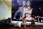 BBM Naik, Angka Kemiskinan Meningkat