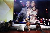 Dua orang pemulung duduk di depan iklan mewah di kawasan Bendungan Hilir, Jakarta, Selasa (13/3/2013).