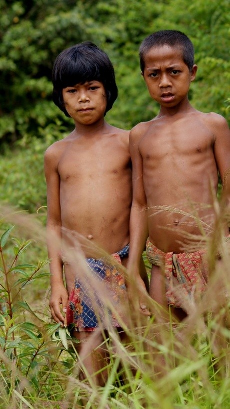 Hutan Terus Dijarah, Suku Terasing di Jambi Kekurangan Gizi