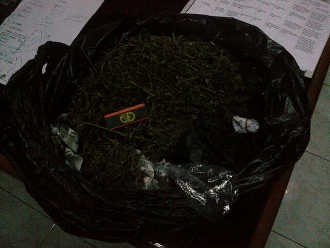 Napi Rutan Salemba Tertangkap Simpan Ganja 1 Kg di Sel