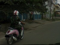 Foto diambil di kawasan Jambi, Sumatera.