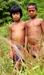 Hutan Dijarah, Anak Rimba Kekurangan Gizi