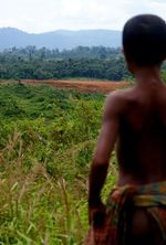 Hutan Dijarah, Anak Rimba Kekurangan Gizi