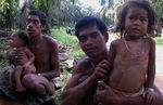 Hutan Terus Dijarah, Anak Rimba Terancam Mati