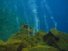 Terpesona Gunung Api Bawah Laut Pulau Mahengetang, Sulut