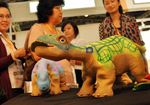 Kepincut Robot Dinosaurus yang Imut