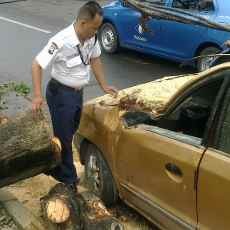 Pohon Sono Tumbang Timpa Hyundai Atoz