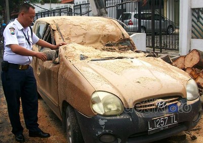 Brak! Pohon Sono Tumbang Timpa Mobil