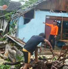 Diterjang Angin Kencang, Rumah-rumah Rusak Tertimpa Pohon Kelapa
