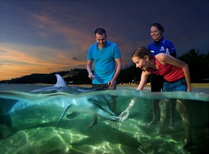 Tangalooma, Pulau Favorit Turis Indonesia di Australia