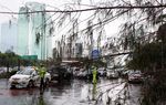Pohon Cemara Tumbang Macetkan Jl Gatsu