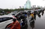 Pohon Cemara Tumbang Macetkan Jl Gatsu