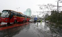 Pohon cemara yang tumbang dan menutupi badan jalan, hingga kini belum dievakuasi oleh petugas.