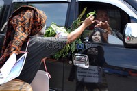 Dalam aksinya, Tukang Sayur menawarkan sayuran yang dibawanya kepada pengendara yang melintas di kawasan Senen, Jakarta.