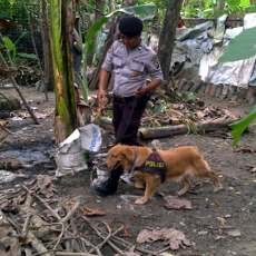 2 Anjing Pelacak Sisir Lokasi Ledakan di Tuban