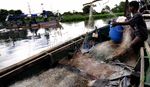 Angin Kencang Nelayan Takut Melaut