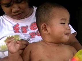 Giliran Tomcat Mulai Serang Warga Pasuruan