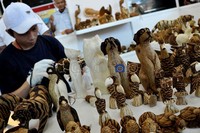 Karya seni ukir miniatur binatang karya  Iwan Herawan ini menggunakan kayu sengon yang sudah dibuat menggunakan mesin. Laalu Iwan memberi motiv sesuai ukiran dengan menggunakan solder yang dibentuk sedemikian rupa agar memudahkan perajin untuk membentuk setiap ukirannya.