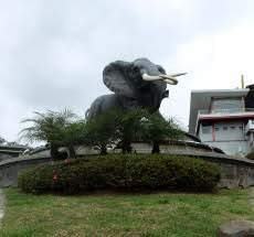 Serunya Berpetualang di Kampung Gajah Wonderland