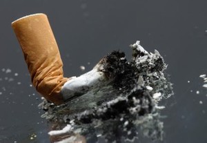 Cukup 1 Puntung Rokok, Racunnya Bisa Membunuh Ikan Kecil
