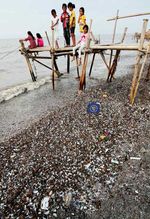 Menambang Pasir di Antara Tumpukan Kulit Kerang