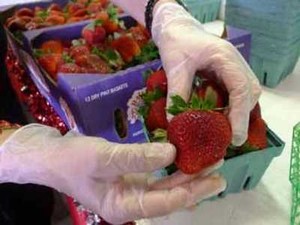 Di California Ditemukan Strawberry Mengandung Pestisida 