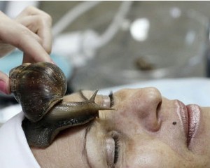 Hiii... Ada Facial dengan Tempel Bekicot di Wajah