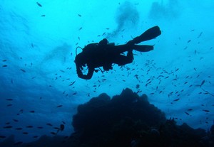 Terperangah Indahnya Alam Bawah Laut Pulau Cozumel, Meksiko