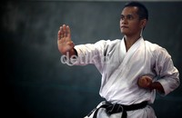 Selain untuk persiapan SEA Games 2013, pelatnas ini juga sebagai persiapan atlet menghadapi kejuaraan WKF Premiere League di Jakarta 23-24 Juni mendatang.