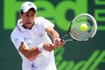 Bekuk Murray, Djokovic Juara Sony Ericson Terbuka
