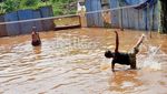 Keceriaan di Tengah Banjir
