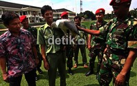 Eko Haryanto mengaku membeli elang langka tersebut di sebuah pasar hewan sepuluh tahun yang lalu.