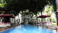Kolam renang berada di bagian tengah taman. Untuk menutupi sinar matahari langsung ke kolam, pemilik rumah mendesain tanaman khusus diatasnya. Suasana teduh dan angin sepoi-sepi langsung menyergap di tepi kolam ini.