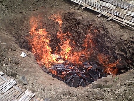 Antisipasi Penyakit Menular, Produk Pangan Malaysia Dibakar