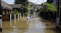 Ketinggian air mencapai sepinggang orang dewasa.