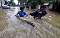 Seorang bocah yang takut hanyut berpegangan pada batang pohon pisang.