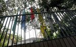 Di Kantor Koalisi, Bendera PKS Sudah Disingkirkan