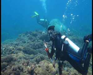 Lenggak Lenggok Sang Bidadari Halmahera