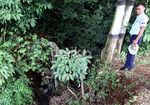 Ikut HUT TNI AU, Penerjun Nyungsep ke Kali
