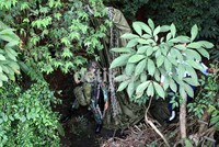 Sang prajurit ini satu-satunya yang melenceng, sedang yang lainnya sukses mendarat.