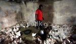 Impor Ayam Broiler Ancam Pengusaha Unggas